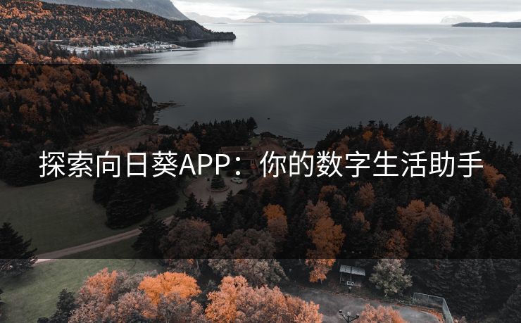 探索向日葵APP：你的数字生活助手