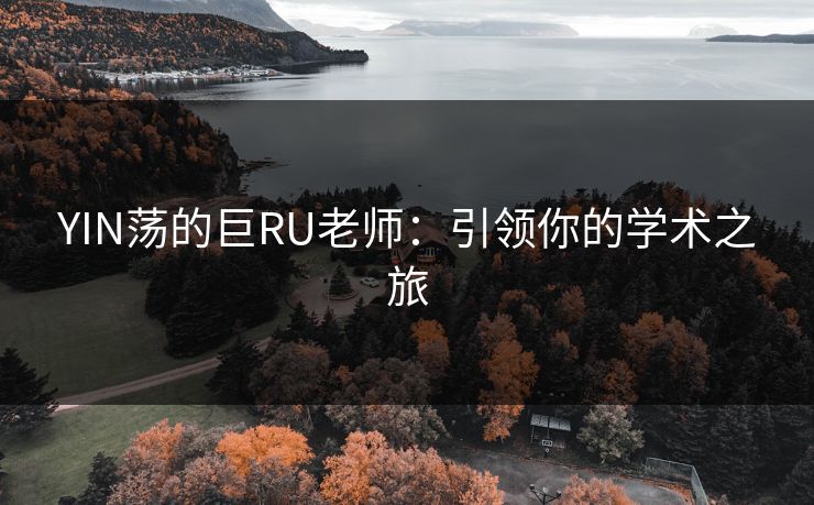 YIN荡的巨RU老师：引领你的学术之旅