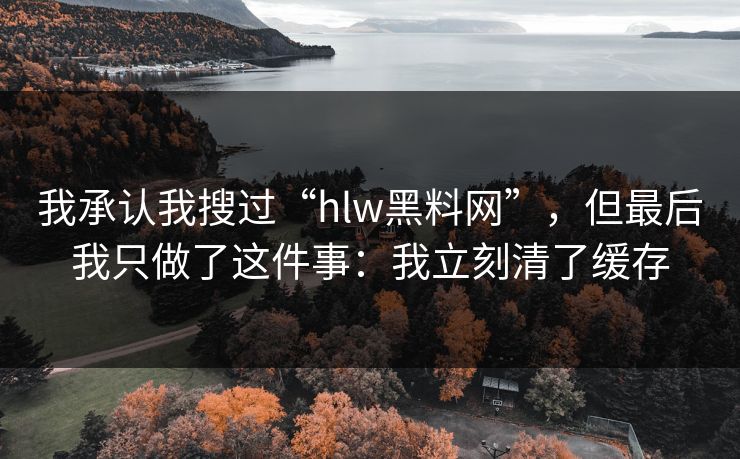 我承认我搜过“hlw黑料网”，但最后我只做了这件事：我立刻清了缓存