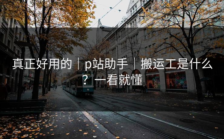 真正好用的｜p站助手｜搬运工是什么？一看就懂